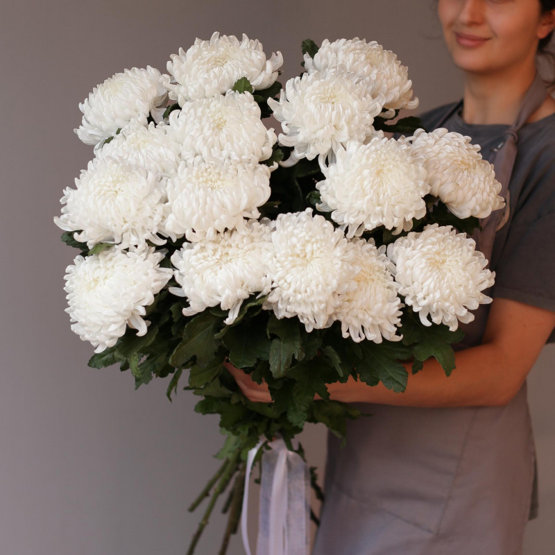 15 Белых Хризантем Бигуди в коробке